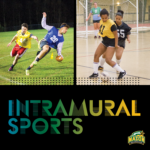Intramural sports poster